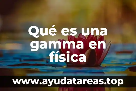 Qué es una gamma en física