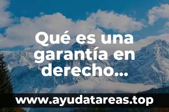 Qué es una garantía en derecho concepto doctrinal