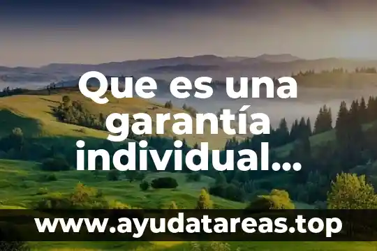 Que es una garantía individual unam
