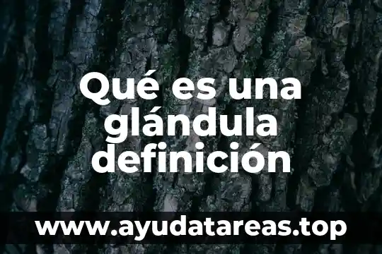 Qué es una glándula definición