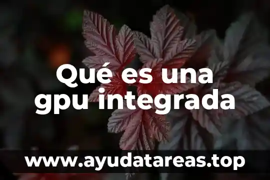 Gestión integrada del agua que es 5 Qué es una gpu integrada