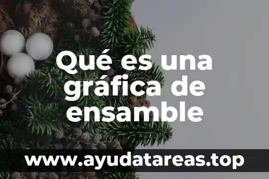 Que es una grafica y sus diferentes tipos rn 6 Qué es una gráfica de ensamble