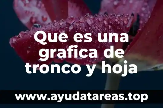 Que es representación grafica sistematizada 3 Que es una grafica de tronco y hoja
