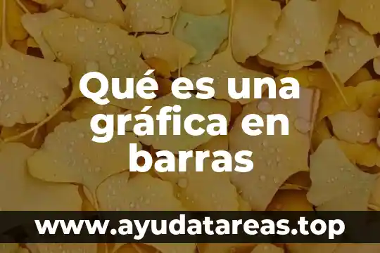 Qué es una gráfica en barras