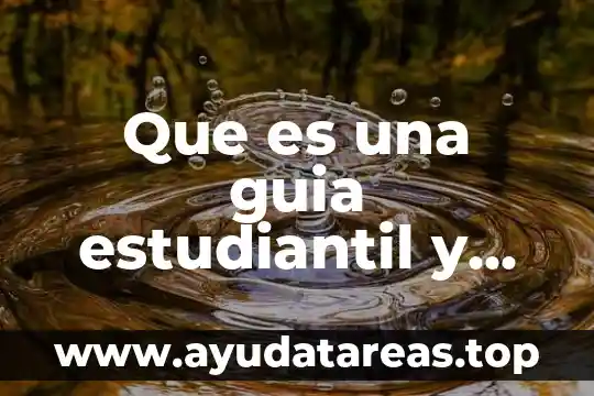 Que es una guia estudiantil y sus tipos dereactivos