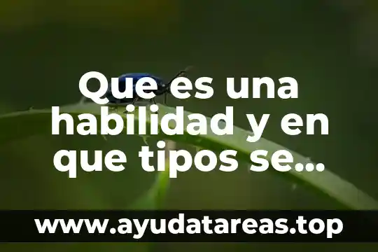 Que es una habilidad y en que tipos se divide
