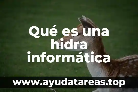 Qué es una hidra informática