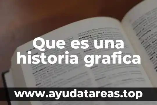 Que es una historia grafica