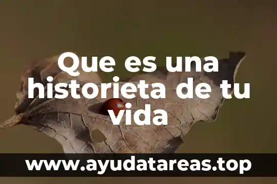 Que es lo que sientes por tu bandera nacional 7 Que es una historieta de tu vida