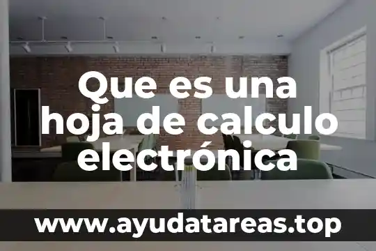 Que es hoja de planta 8 Que es una hoja de calculo electrónica