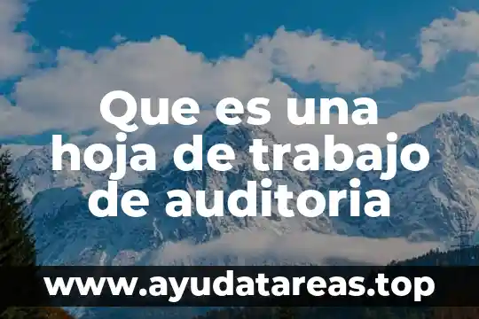 Que es hoja de planta 3 Que es una hoja de trabajo de auditoria