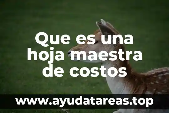 Que es una hoja maestra de costos