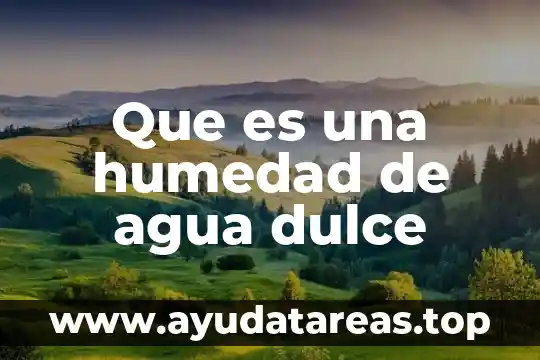¿Qué es más dulce la glucosa o la fructosa? 5 Que es una humedad de agua dulce