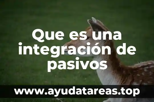 Que es una integración de pasivos