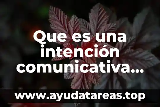 Que es una intención comunicativa ejemplos