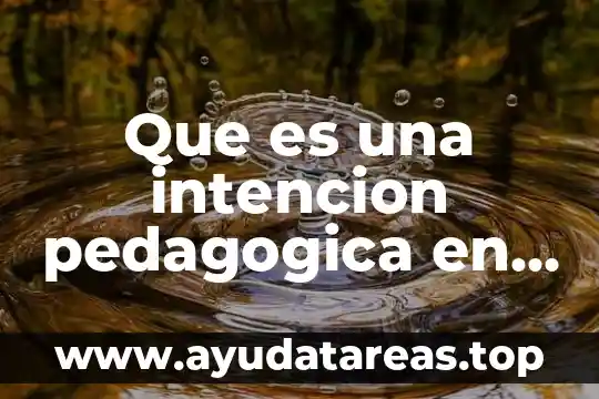 Que es una intencion pedagogica en la educacion