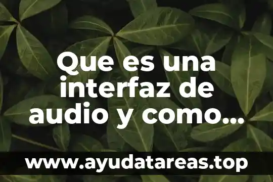 Qué es la interfaz de línea de comando 4 Que es una interfaz de audio y como funciona