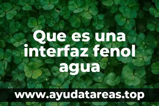 Qué es la interfaz de línea de comando 3 Que es una interfaz fenol agua