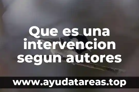 Que es una intervencion segun autores