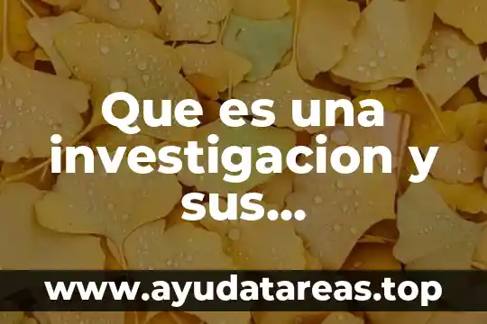 Que es una investigacion y sus caracteristicas