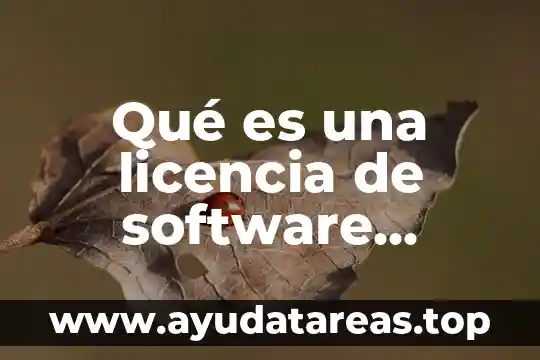 Qué es una licencia de software comercial