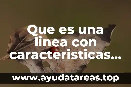 Que es una linea con caracteristicas y ejemplo
