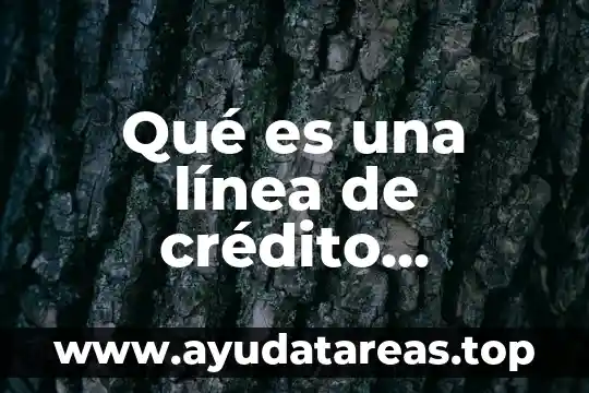 Que es usuario servicio en linea de megacable 8 Qué es una línea de crédito operativa