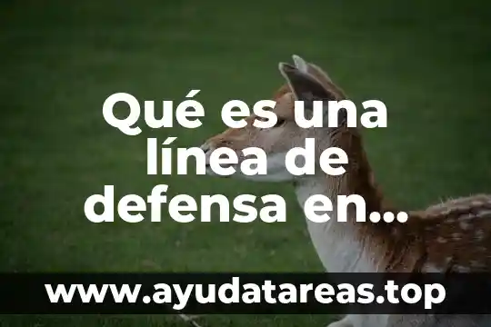 Mercado del dinero que es 7 Qué es una línea de defensa en lavado de dinero