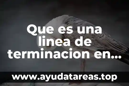 Que es usuario servicio en linea de megacable 4 Que es una linea de terminacion en protesis
