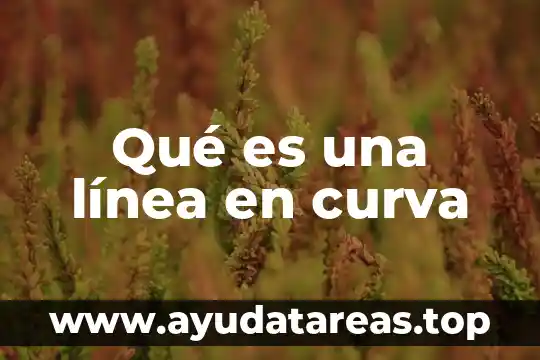 Que es una curva de nivel tipos de curvas maestra 3 Qué es una línea en curva