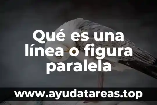 Figura para anunciar que es baño de hombre 5 Qué es una línea o figura paralela