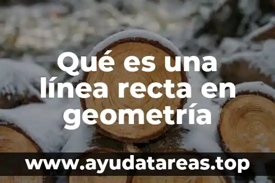 Qué es una línea recta en geometría