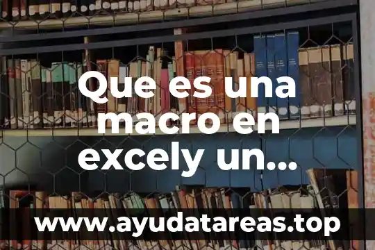 Qué es significa la palabra biodiversidad 3 Que es una macro en excely un ejemplo de ella