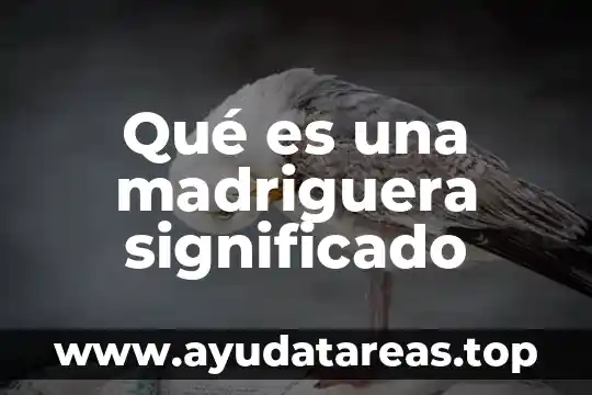 La discriminación en México que es significado definición 5 Qué es una madriguera significado