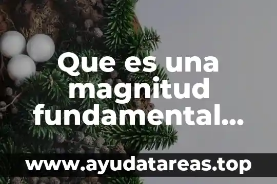 Que es una magnitud fundamental ejemplos