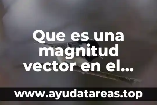 Que es una magnitud vector en el plano