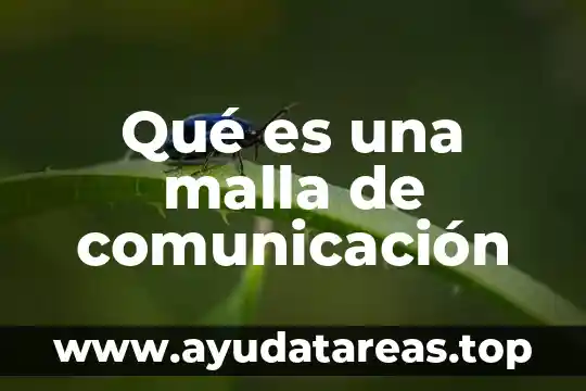 Qué es un emblema en comunicación 6 Qué es una malla de comunicación