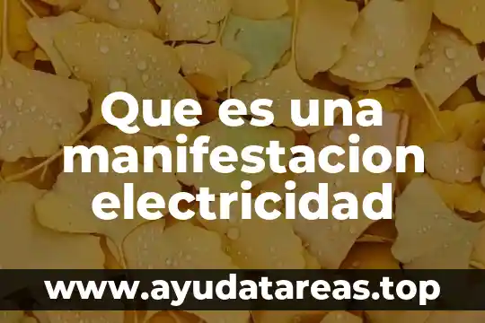Que es una manifestacion electricidad