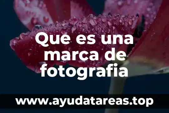 El apellido de marca que es 8 Que es una marca de fotografia