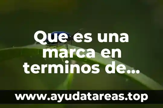 Que es una marca en terminos de percepcion del consumidor