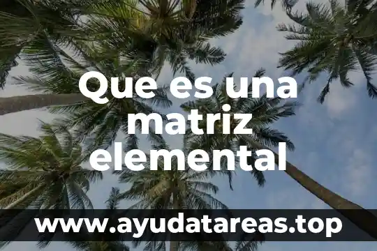 Qué es la fonética elemental 5 Que es una matriz elemental