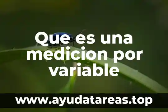 Que es una variable matematica y tipos 7 Que es una medicion por variable