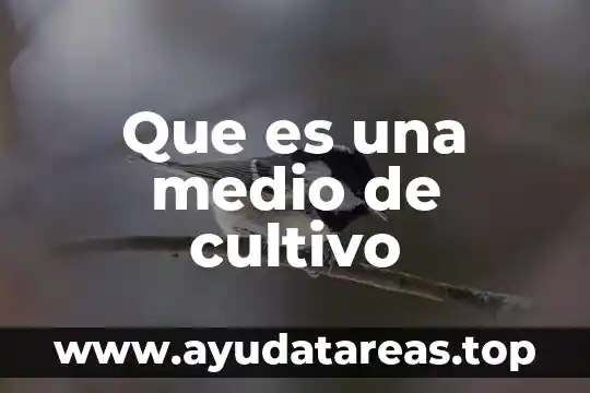 Que es una medio de cultivo