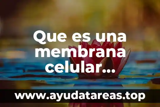 Qué es la membrana plasmática de la célula animal 6 Que es una membrana celular plasmatica
