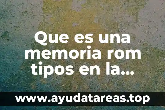 Grado de cohesión social que es 7 Que es una memoria rom tipos en la electronica