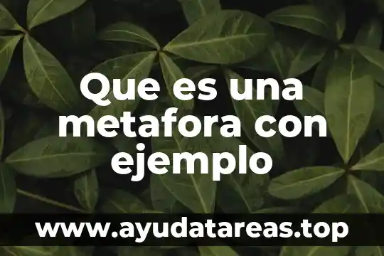 Que es metafísica y un ejemplo 4 Que es una metafora con ejemplo