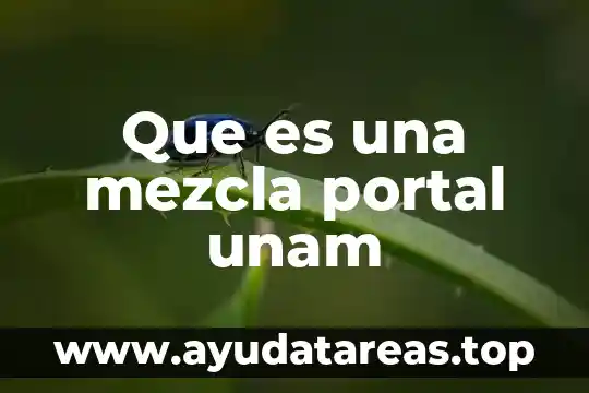 Que es un portal informatica 3 Que es una mezcla portal unam