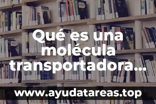 Que es la molecula del agua y donde se encuentra 8 Qué es una molécula transportadora activada