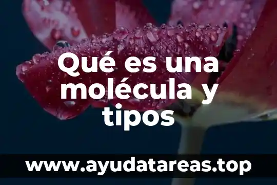Que es la molecula del agua y donde se encuentra 6 Qué es una molécula y tipos