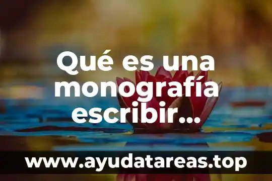 Qué es una monografía escribir definición